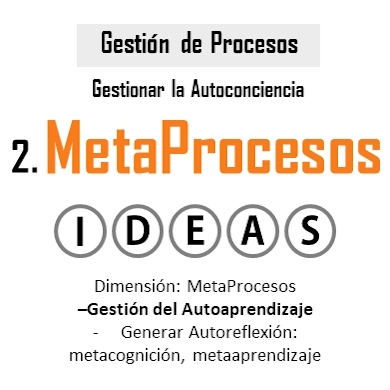 Dimensión Metaprocesos - Autogestión